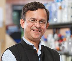 Shri Chetan E Chitnis